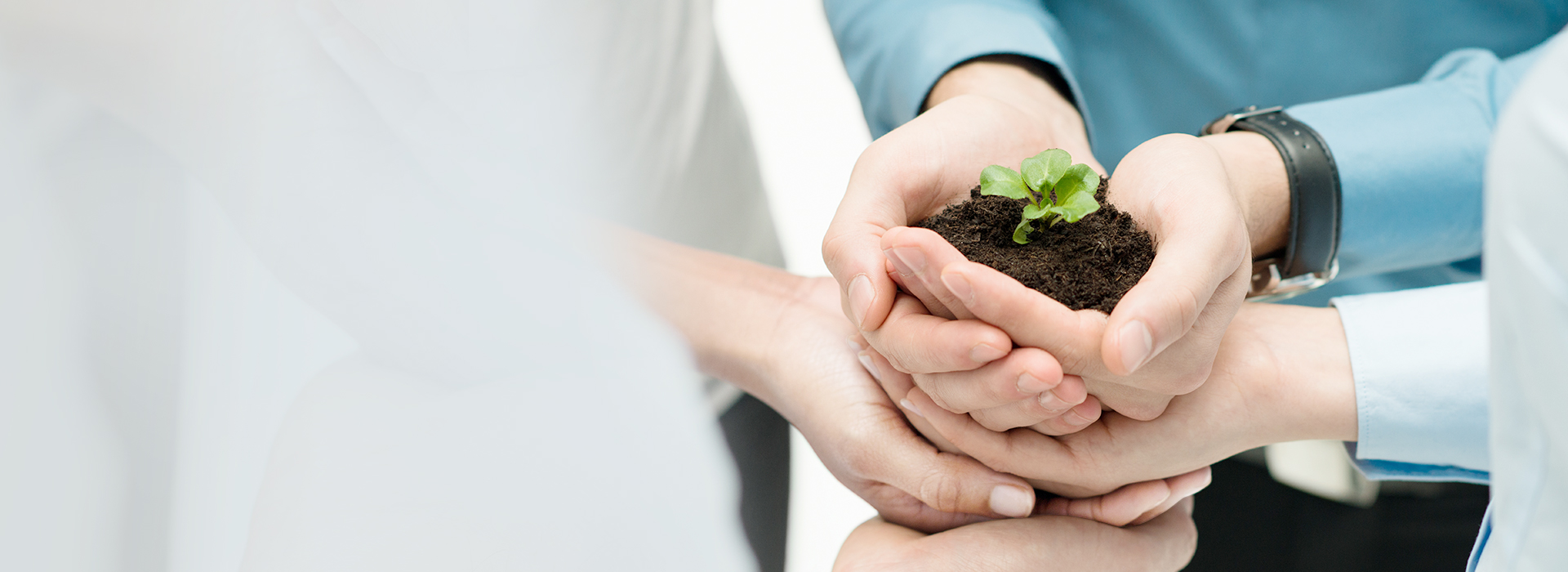 尊老凯时人生就是博科技-AI大数据_数字阛阓_数字门店